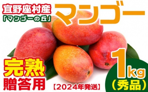 贈答用　宜野座村産完熟マンゴー「マンゴーの丘」（秀品）1kg