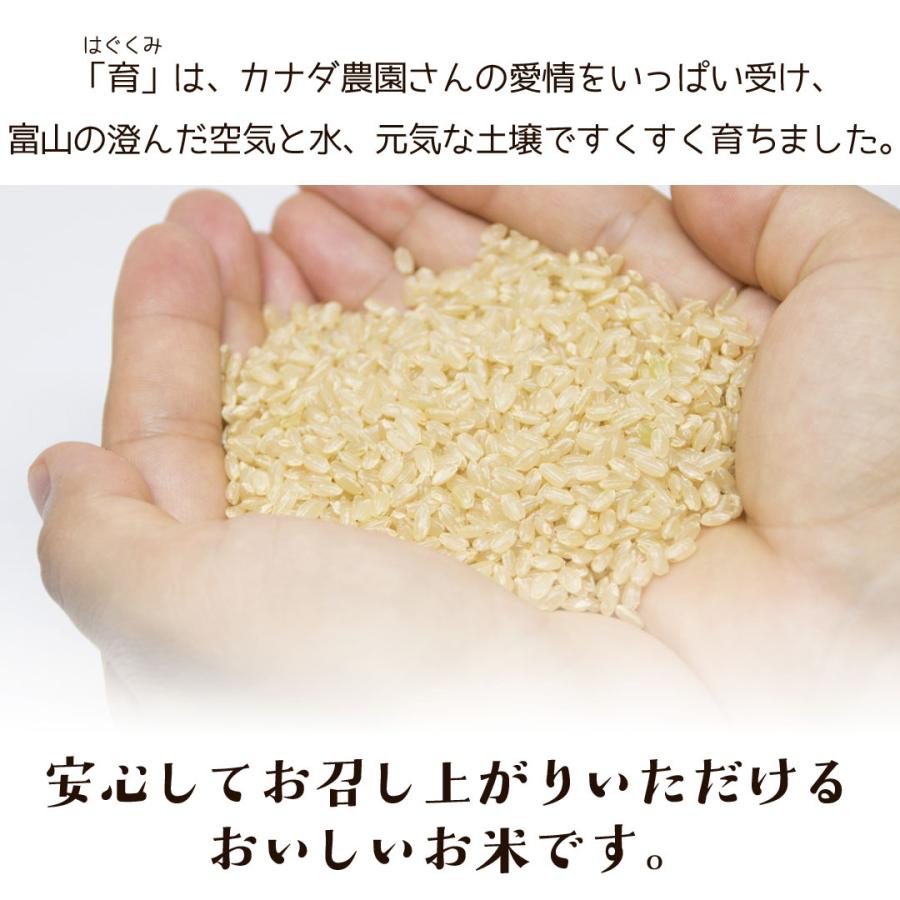 令和5年度産 こしひかり コシヒカリ 玄米 富山県産 30kg カナダ農園 はぐくみ 育