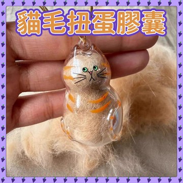 閃發🌻 貓毛收納盒 貓毛扭蛋 貓咪毛髮存放膠囊 貓毛收集扭蛋 透明貓毛收納瓶 透明貓毛收納 透明貓毛收納盒 0615