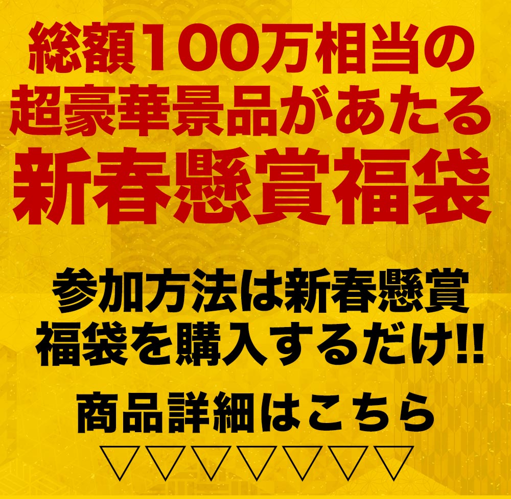 松屋 2024 新春懸賞福袋！超特大ボリュームセット！16種30食入り 新春 福袋 新春福袋 懸賞 グルメ 牛丼 牛めし まつや