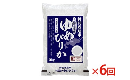 北海道赤平産 ゆめぴりか 5kg 特別栽培米  精米 米 北海道 定期便