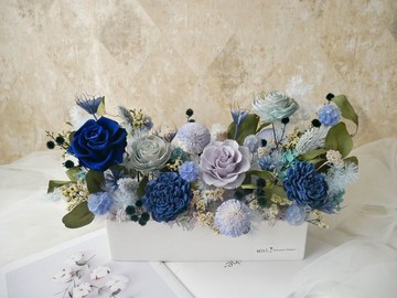 長盆大型永生乾燥花盆花【魅力紳藍】永生花盆花/開幕賀禮/新婚