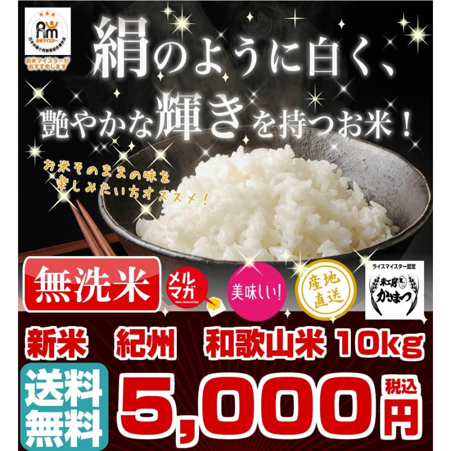 無洗米 和歌山米 10kg 米 お米 和歌山産 新米 白米 玄米 令和3年産  送料無料 和歌山県産 タイムセール