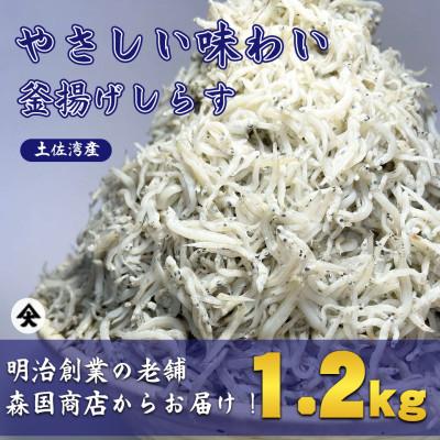 ふるさと納税 南国市 釜揚げしらす高知県土佐湾産1.2kg(300g×4袋)新鮮・ふわふわ鮮度抜群!