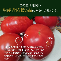  この道40年の農家から直送 完熟！桃太郎トマト15～24玉　H139-017