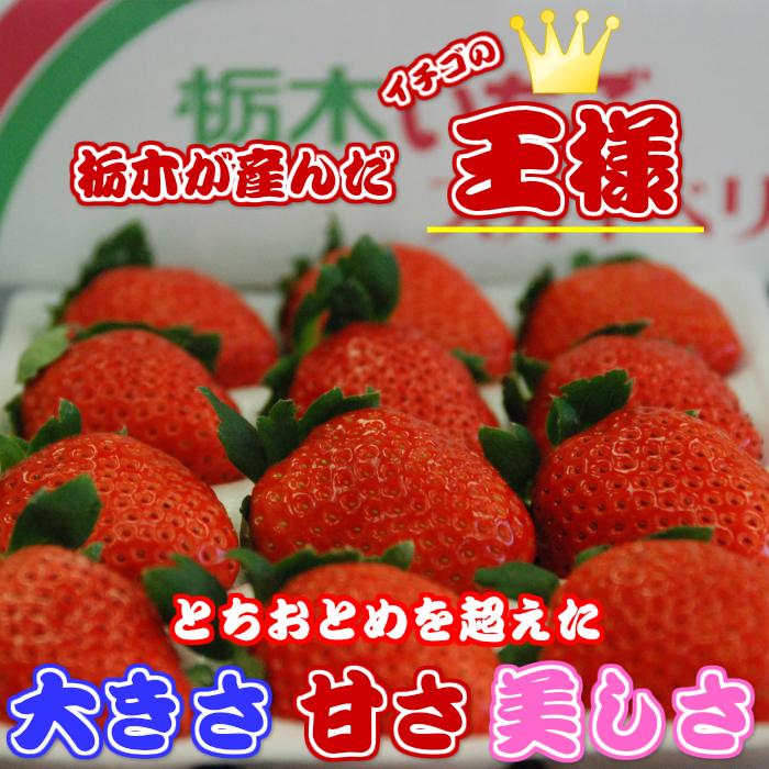 イチゴ いちご スカイベリー 配送日時指定不可 栃木県産 ２パックセット  熨斗対応 クール送料無料 冷蔵便 スカイ2P