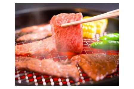 ★焼肉食べ比べセット★ 伊予牛絹の味 焼肉用ロース500g、 カルビ・モモ 500ｇ (冷凍)