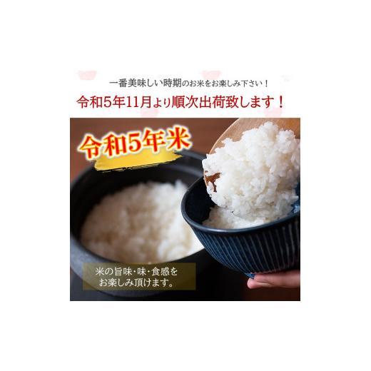ふるさと納税 熊本県 和水町  令和5年産 新米 無洗米 ほたるの灯り 15kg