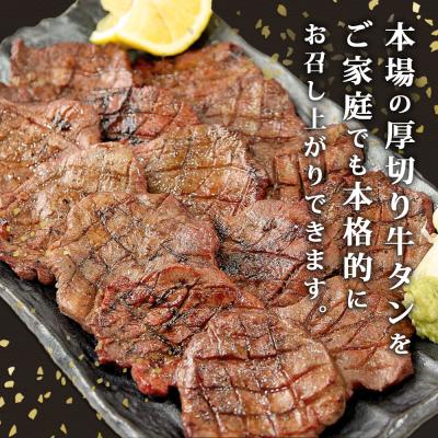 ふるさと納税 東松島市 牛タン 熟成 厚切 牛タン 塩味 500g 冷凍 焼肉 バーベキュー 牛たん 熟成牛たん 宮城県 東