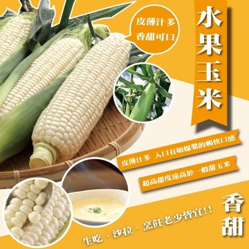 【在地果農-新鮮直配】5斤手工摘取水果玉米（5斤±10%/箱（含箱重））_廠商直送