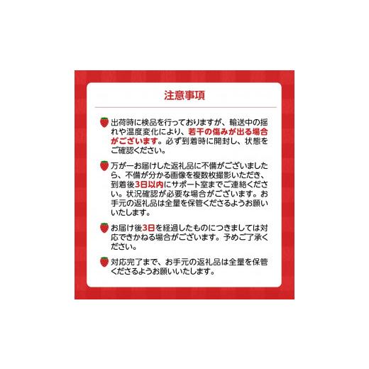 ふるさと納税 福岡県 久留米市  ギフト配送 約450g×2パック EX 福岡県産あまおう〈特別栽培〉