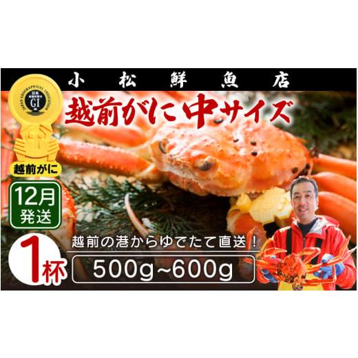 ふるさと納税 福井県 越前町 越前がに本場の越前町からお届け！ 越前がに 浜茹で 中サイズ（生で500〜600g） × 1杯【福井県 越前町 雄 ズワ…