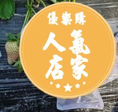 防蟲保護袋 果袋套 草莓網套專用套袋草莓袋子防蟲水保護包果袋櫻桃套袋杏袋李子套袋