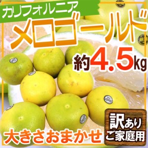 カリフォルニア産 ”メロゴールド” 訳あり 約4.5kg 大きさおまかせ 送料無料