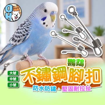 【歐豆K】不鏽鋼鸚鵡腳扣 不鏽鋼防脫勾 鸚鵡配件 鸚鵡連接扣 防脫逃扣具 鸚鵡外出用品 鸚鵡不銹鋼扣環 鸚鵡外出用品