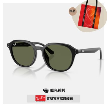 【RayBan 雷朋】圓形膠框偏光太陽眼鏡(RB4459D-901/9A 54mm)