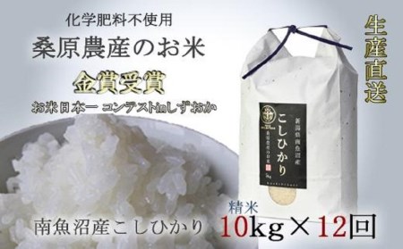 桑原農産のお米10kg×12カ月　南魚沼産こしひかり