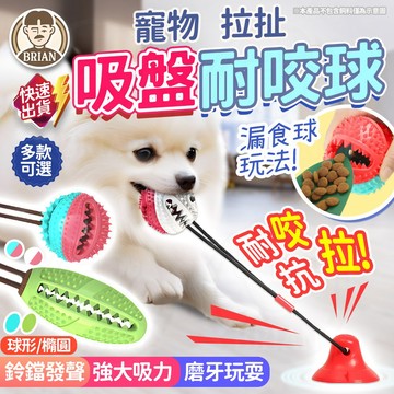吸盤耐咬球【布萊恩👨🏻隔日到貨】吸盤球 耐咬球 狗狗磨牙玩具 拉扯玩具 互動玩具 漏食球 磨牙棒 狗狗玩具