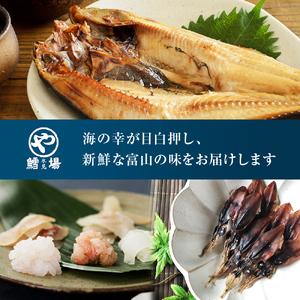 ふるさと納税 〈日本海氷見の幸７種〉 鱈場おすすめ一夜干し「カマス」「アジ」「いわし丸干し」と昆布〆お刺身３種！氷見のお刺身醤油付き！ 魚.. 富山県氷見市