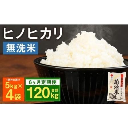 ふるさと納税 熊本県菊池産 ヒノヒカリ 無洗米 計120kg（5kg×4袋×6回