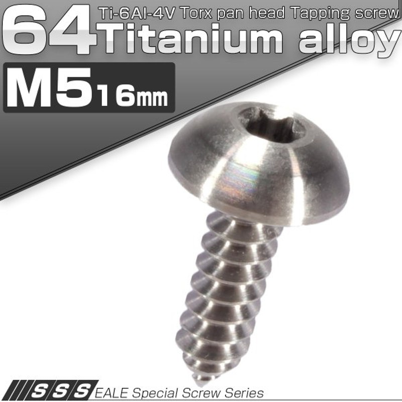 素晴らしい価格 M5×16mm ホールヘッドネジ H-1 タッピングネジ ステンレス 削り出し トラス頭 シルバー TC0108