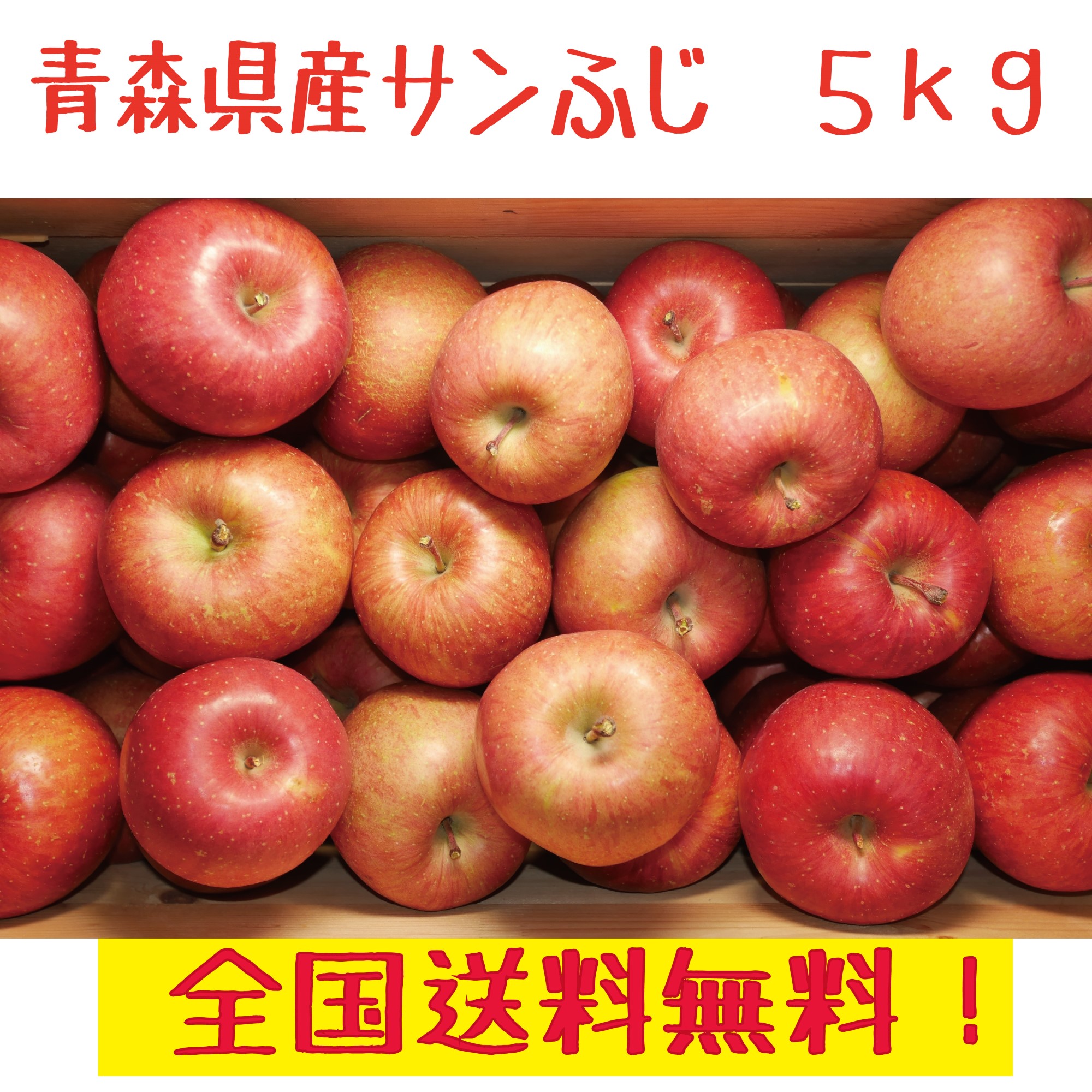 青森県産訳あり　りんご ふじ　12-22玉　５kg