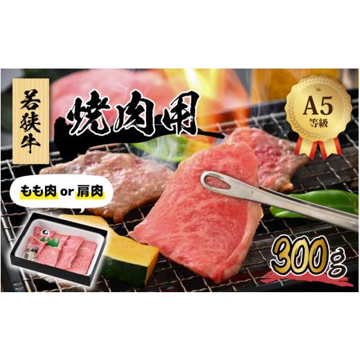 ふるさと納税 福井県 福井市 若狭牛 (A5ランク) 焼肉 300g【牛肉 BBQ バーベキュー アウトドア A5ランク 焼肉 お取り寄せ 黒毛和種 もも肉 肩肉 冷凍 1パック …