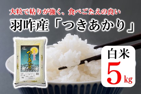 [A151] 《R5年産》つきあかり　5kg（5kg×1袋）