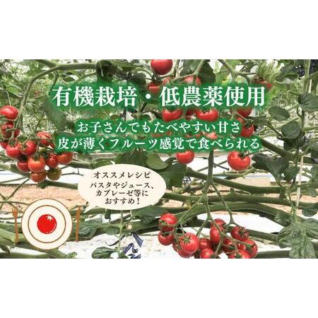 ふるさと納税 完熟 ミニトマト 2kg  果物のような甘さと美味しさキャロルセブン｜ミニトマト キャロルセブン 糖度 和歌山県印南町