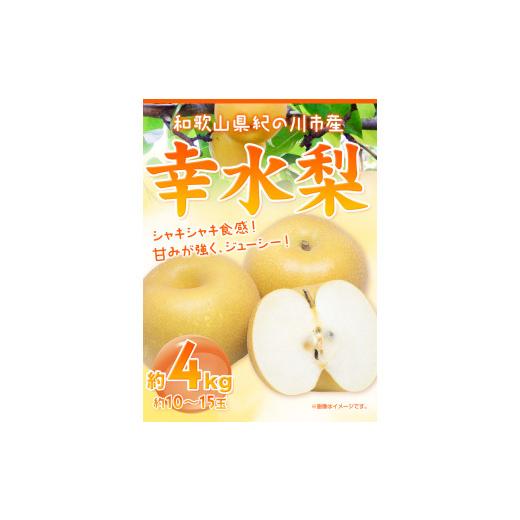 ふるさと納税 和歌山県 紀の川市 和歌山紀の川市産 の幸水梨 約4kg （約10玉〜15玉）紀の川市厳選館 《2024年7月下旬-8月中旬頃…