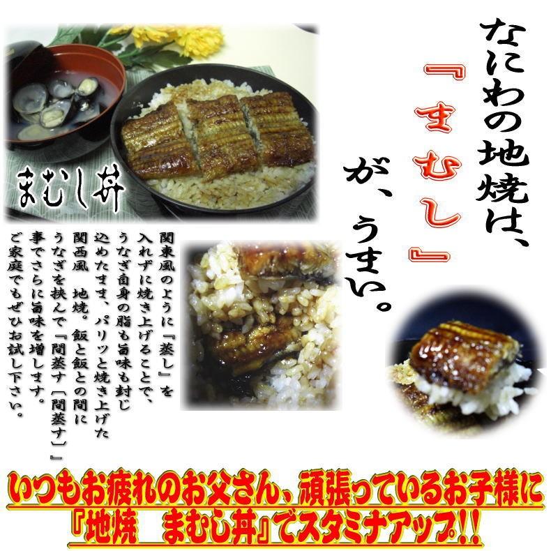 うなぎ　蒲焼き　国産　炭火焼　特大　２本セット　送料無料 三河うなぎを自家製だれでじっくりやきあげました。条件付きプレゼントあり