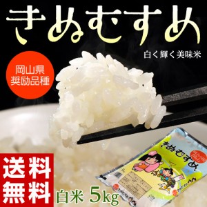 米 こめ コメ 白米 5キロ 送料無料 岡山県産 きぬむすめ 1袋 ※常温 産直 産地直送