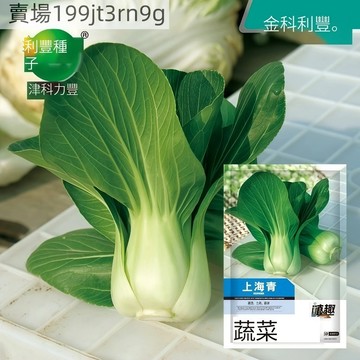 現貨🥬【原包裝蔬菜種子大全】🥬四季種植 高產 新手好種 四季陽台盆栽田園農家蔬菜種子 原廠包裝包對版 蔬菜Seed