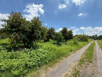 頭社6米路平坦果園農地7.｜台南市大內區頭社段