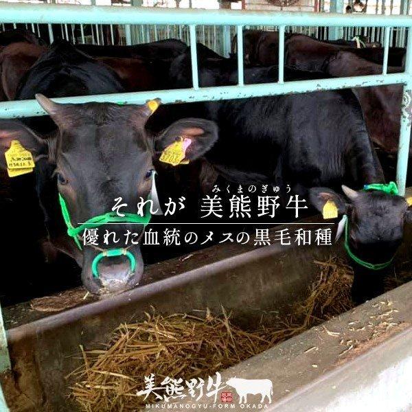 和牛 牛肉 幻の黒毛和牛 美熊野牛 2種 食べ比べ [1kg 特選ロース モモ赤身] すき焼き用 しゃぶしゃぶ用 通販 岡田牧場［お歳暮 ギフト プレゼント］