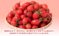 産地直送 八代産 アイコトマト 1kg ミニトマト