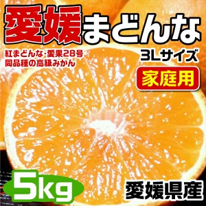 愛媛まどんな (紅まどんな同品種) 3Lサイズ 大玉 5kg JAの正規品(あいか  愛果28号) ご家庭用 バラ詰 高糖度・JA選果…