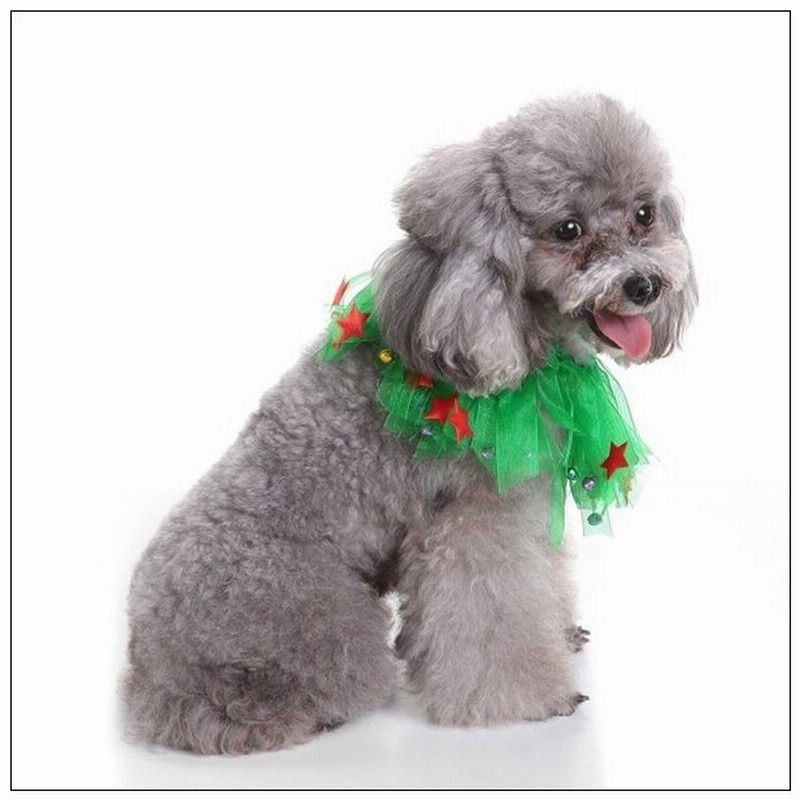 ペット用品 コスチューム コスプレ 衣装 仮装 服 ペット用 ペットウェア 赤 愛犬 犬 猫 ドック 可愛い かわいい おもしろ ハロウィン パーティ 通販 Lineポイント最大get Lineショッピング