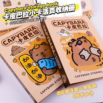 🔥臺灣出貨🔥追星ins卡冊 5寸收納冊 拍立得相冊 a4 卡冊內頁 新款 卡皮巴拉小卡活頁 追星收納冊 硬殻卡通