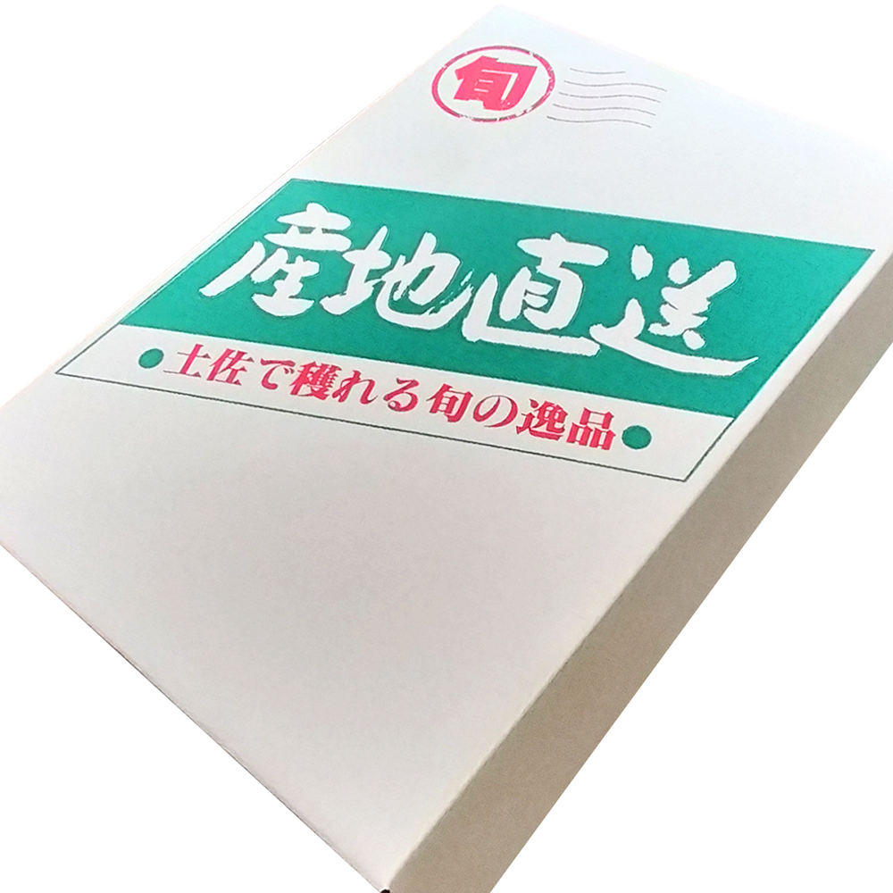 フルーツショップオザキ 高知県産山北みかん2kg（2SまたはSサイズ）