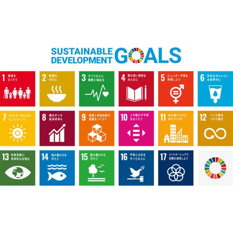 SDGs バッジ 本物 ピンバッジ 正規品 国連本部限定 丸みのある