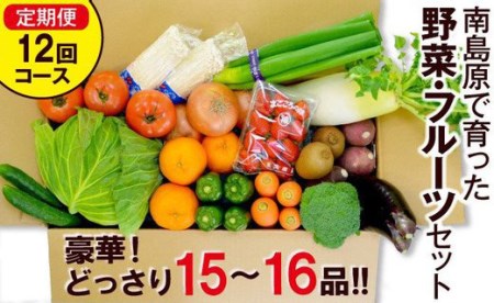 野菜定期便 フルーツ・きのこをセット「12回（毎月）」お届け 定期 詰め合わせ フルーツ 定期 旬 きのこ 柑橘 ぶどう 果物 定期便  南島原市   吉岡青果 [SCZ019]