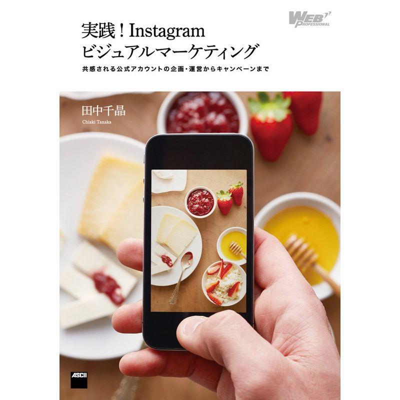 実践Instagramビジュアルマーケティング 共感される公式アカウントの企画・運営からキャンペーンまで (WEB PROFESSIONAL