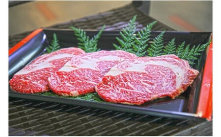 嘉穂牛 リブロース ステーキ 約500g 牛 牛肉