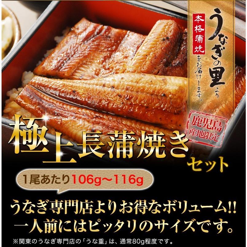 うなぎ 蒲焼き ご家庭用 国産 鹿児島産 長蒲焼き10本セット 約110g×10 タレ山椒付き 送料無料 クール