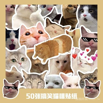 🎇可開發票✨50張搞笑貓咪貼紙筆記本電腦手賬本手機殻iPad裝飾防水diy貼畵#免運