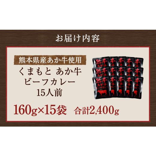 ふるさと納税 熊本県 宇城市 熊本県産あか牛使用 くまもとあか牛 ビーフカレー 15人前 カレー あか牛