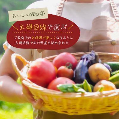 ふるさと納税 淡路市 淡路島の旬の野菜セット 1年コース(月1回×12回)