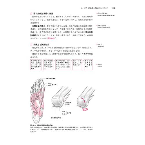 運動器疾患の なぜ がわかる臨床解剖学