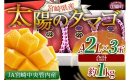 予約受付！数量限定＜宮崎県産 太陽のタマゴ A等級 2Lサイズ×3玉（合計約1kg）＞